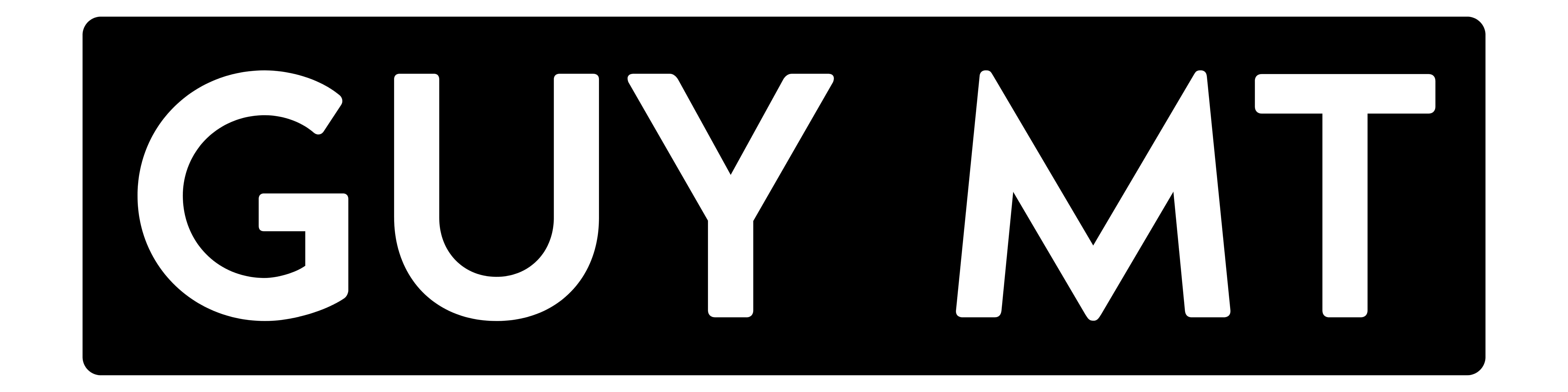 Guy MT